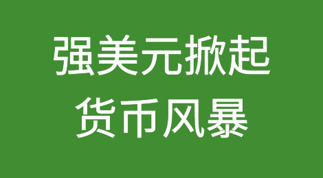 强美元掀起货币风暴，10国货币年内惨跌，甚至濒临崩溃！