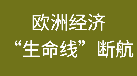雪上加霜！费用大增！欧洲经济“生命线”断航！货运进一步受阻！