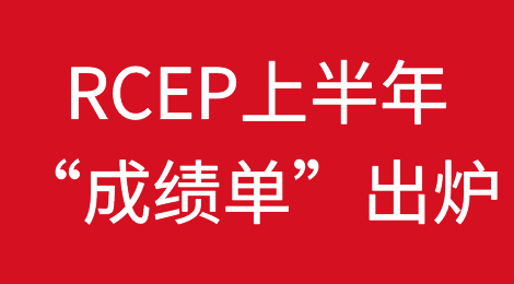 RCEP上半年“成绩单”出炉 享惠红利持续释放