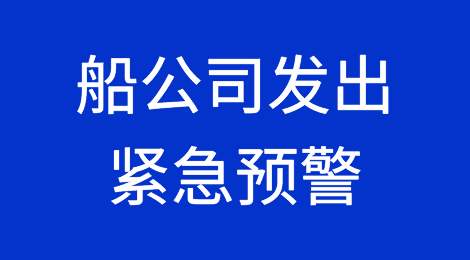 船公司发出紧急预警：一类针对货代诈骗出现