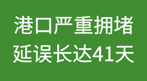 港口严重拥堵，有延误多达41天！亚欧航线延误创历史新高