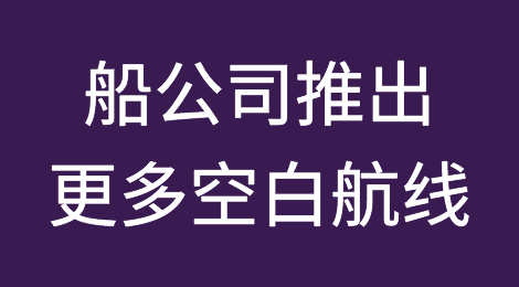 船公司推出更多空白航线，以支撑即期运价下滑