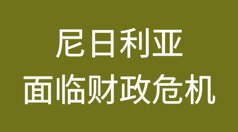 尼日利亚外贸风险预警丨该国面临财政危机！货币贬值30%、高通胀、债务困境。。。
