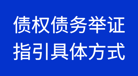 债权债务举证指引具体方式