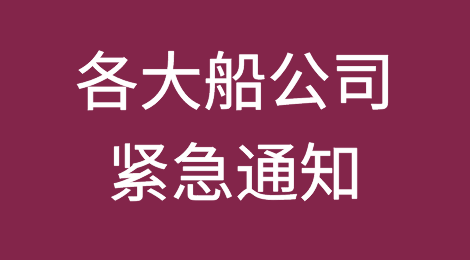 各大船公司就洛杉矶新政发出的紧急通知及措施！以星航运成立了紧急提柜小组！弃货潮即将出现......