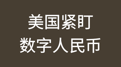 美国紧盯中国数字人民币计划：中国经验全球领先