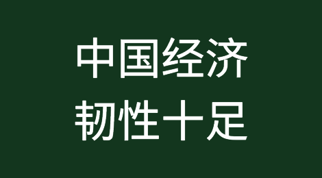 德国专家认为中国经济韧性十足好于预期