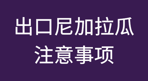 出口各国注意事项——尼加拉瓜