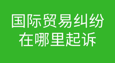 国际贸易纠纷中，国内的公司应该如何起诉？