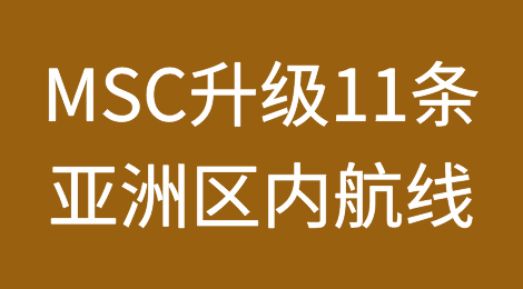 地中海航运（MSC）升级11条亚洲区内航线！