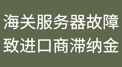 尼日利亚拉各斯海关服务器发生故障导致进口商产生滞纳金