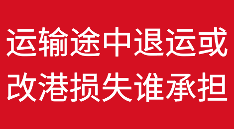 货主在货物运输途中要求退运或者改港，造成的损失该由谁承担？