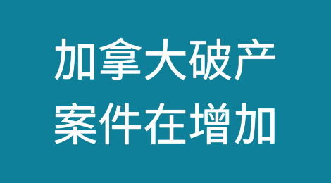 前加拿大银行经济学家：在利率挤压的情况下，加拿大破产案件在增加