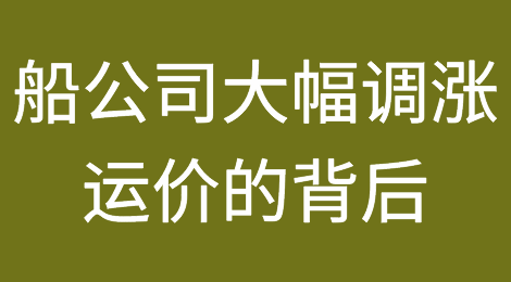 船公司大幅调涨运价！背后的谋划...