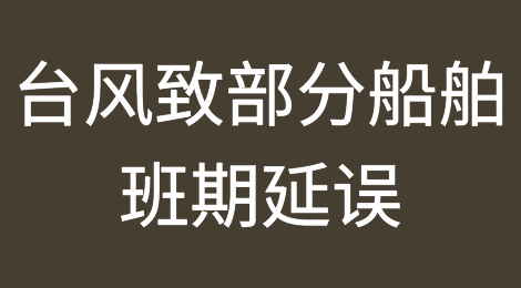 台风来袭！华南各大港口停止闸口所有提交箱服务，船公司发布告客户书