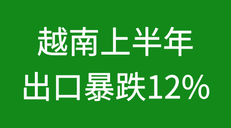 越来越崩！缺单+电荒+政府“激进”手段，越南上半年出口暴跌12%！