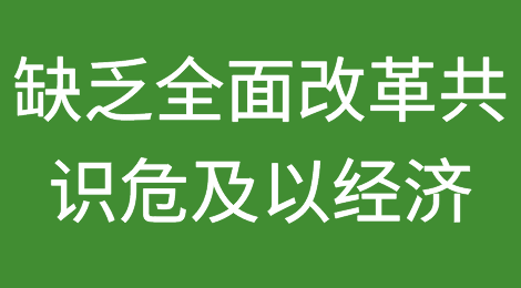 信用评级机构标准普尔警告，缺乏全面改革共识危及以色列经济