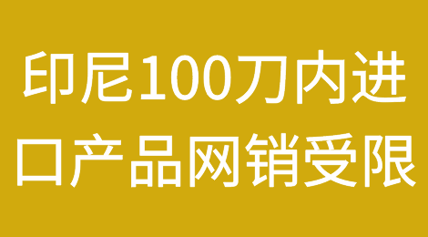 卖家注意！印尼将限制100美元内的进口产品网销！