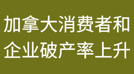 加拿大利率上调导致消费者和企业破产率上升