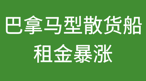 价格狂涨52％！船东出租一艘赚一艘