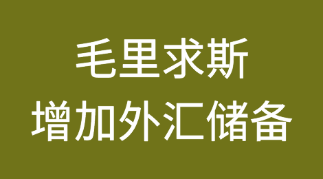 毛里求斯将增加外汇储备以缓冲经济冲击