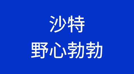 沙特阿拉伯：计划打造连接三大洲的全球物流中心