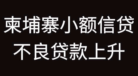 柬埔寨小额信贷不良贷款上升预示着强迫土地买卖和童工问题