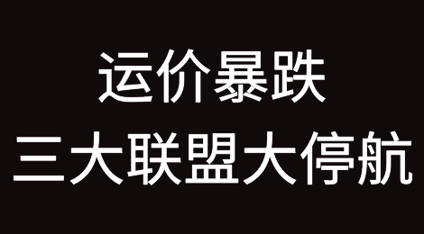 运价暴跌！三大联盟大停航