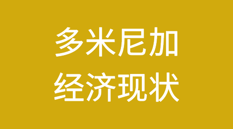 多米尼加经济体现了国际经济的现实情况