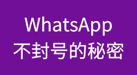 想WhatsApp不被封号？想知道如何解封？本文讲清楚了
