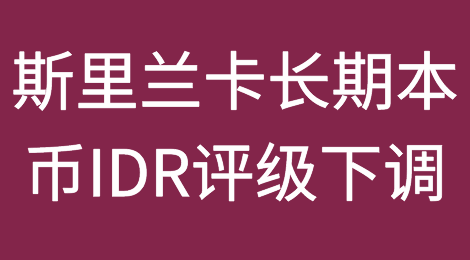 惠誉下调斯里兰卡长期本币IDR评级
