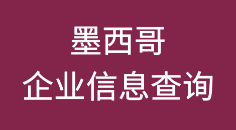 如何在线查询墨西哥企业的信息丨墨西哥企业注册登记信息查询的方法