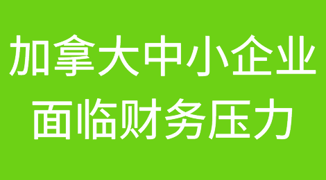 加拿大中小企业面临财务压力