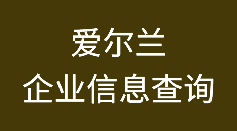 如何在线查询爱尔兰企业的信息丨爱尔兰企业注册登记信息查询的方法