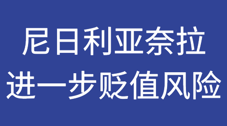 惠誉：尼日利亚奈拉面临进一步贬值的可能性