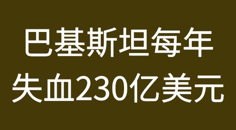 巴基斯坦经济每年失血230亿美元