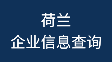 如何在线查询荷兰企业的信息丨荷兰企业注册登记信息查询的方法