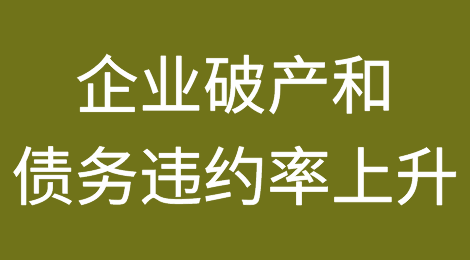 企业破产和债务违约率上升是经济面临的又一不利因素