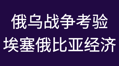 俄罗斯-乌克兰长期危机对埃塞俄比亚经济的连带影响