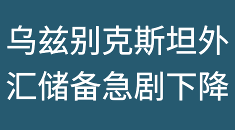 乌兹别克斯坦外汇储备急剧下降，政治风险前景负面