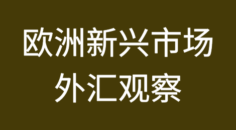 新兴欧洲外汇市场：经历艰难的2023年第三季度后将进一步下跌