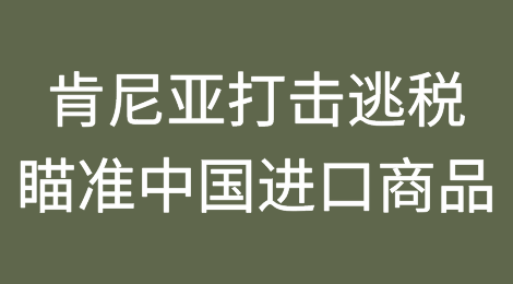 肯尼亚在新一轮打击逃税行动中瞄准中国进口商品