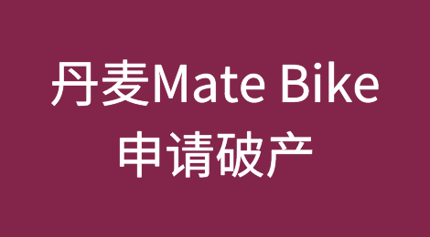 电动自行车行业陷入危机——丹麦Mate Bike成为下一个申请破产的制造商