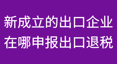 新成立的出口企业可以通过哪些渠道申报出口退税？