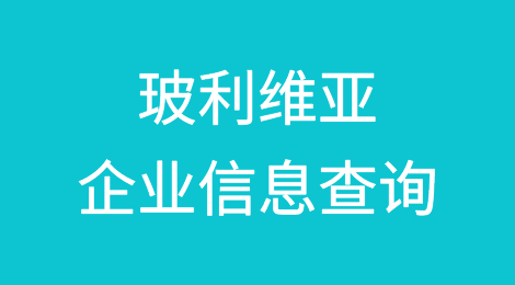 如何在线查询玻利维亚企业的信息丨玻利维亚企业注册登记信息查询的方法