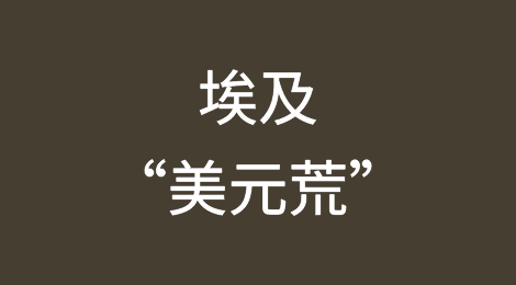 出口埃及风险预警：美元短缺，没钱付货款