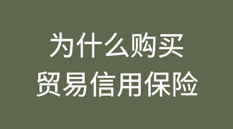 从保护盾到增长推动者：为什么购买贸易信用保险是值得的
