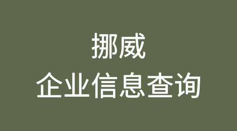 如何在线查询挪威企业的信息丨挪威企业注册登记信息查询的方法