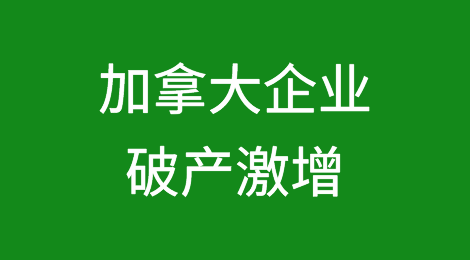 加拿大企业破产激增，凸显经济挑战