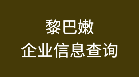 如何在线查询黎巴嫩企业的信息丨黎巴嫩企业注册登记信息查询的方法